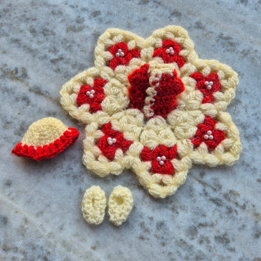 Woollen dress with cap and shoes-29